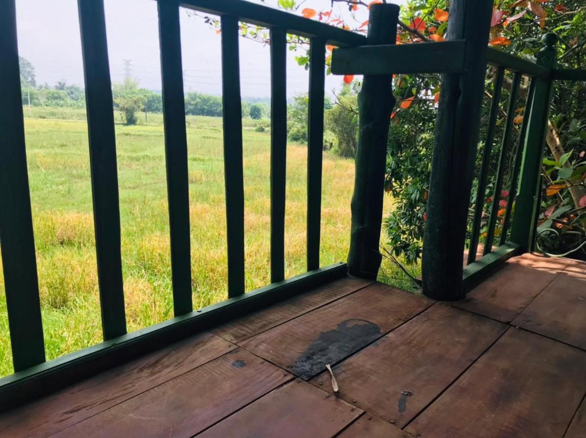 Airport Villa Kamatha -Foreign Booking Only Katunayaka Kültér fotó